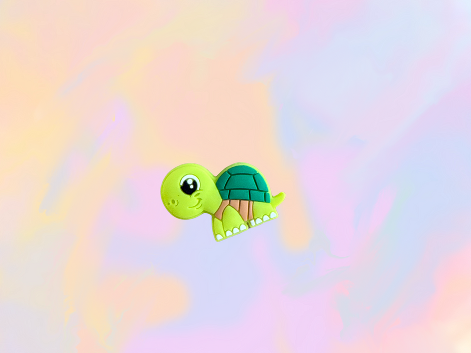 Cute Turtle Focal